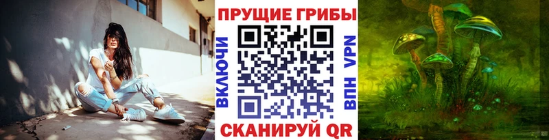 Галлюциногенные грибы прущие грибы  KRAKEN ссылка  Рыбное 