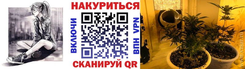 цена   Рыбное  Бошки марихуана индика 